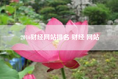 2016财经网站排名 财经 网站