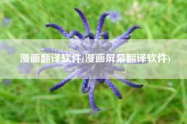 漫画翻译软件(漫画屏幕翻译软件)