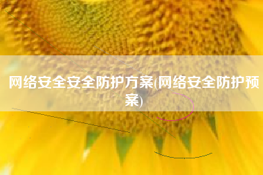 网络安全安全防护方案(网络安全防护预案)
