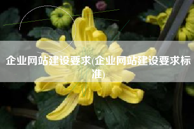 企业网站建设要求(企业网站建设要求标准)