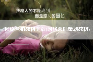 网络营销教材下载(网络营销策划教材)