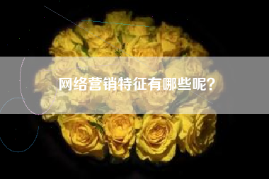 网络营销特征有哪些呢？