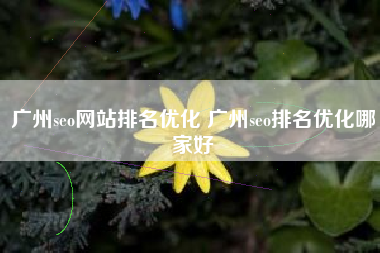 广州seo网站排名优化 广州seo排名优化哪家好