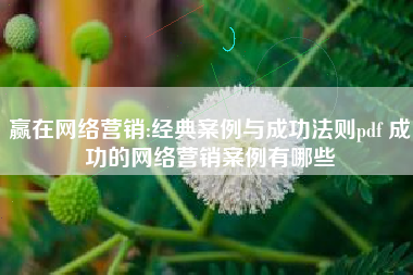 赢在网络营销:经典案例与成功法则pdf 成功的网络营销案例有哪些