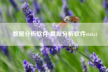 数据分析软件(数据分析软件stata)