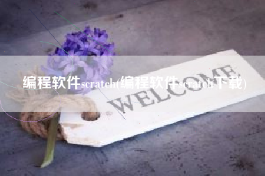 编程软件scratch(编程软件scratch下载)