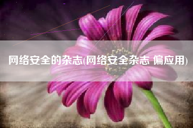 网络安全的杂志(网络安全杂志 偏应用)