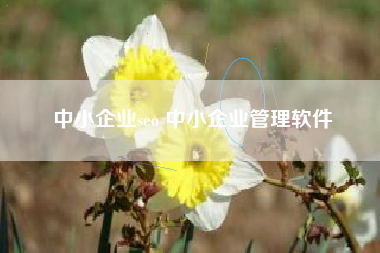 中小企业seo 中小企业管理软件