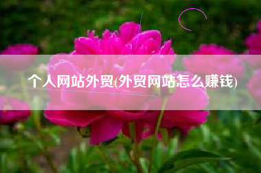 个人网站外贸(外贸网站怎么赚钱)