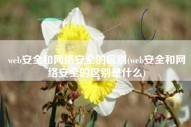 web安全和网络安全的区别(web安全和网络安全的区别是什么)