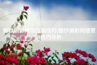 婚纱摄影网络营销技巧(婚纱摄影网络营销技巧分析)