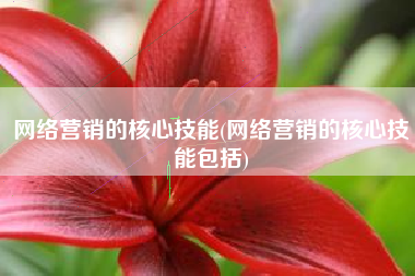 网络营销的核心技能(网络营销的核心技能包括)