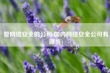 管网络安全的公司(国内网络安全公司有哪些)