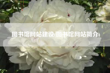 图书馆网站建设(图书馆网站简介)