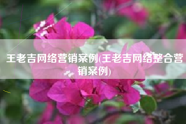 王老吉网络营销案例(王老吉网络整合营销案例)