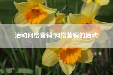活动网络营销(网络营销的活动)