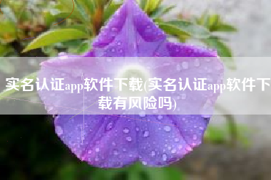 实名认证app软件下载(实名认证app软件下载有风险吗)