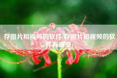 存图片和视频的软件(存图片和视频的软件有哪些)