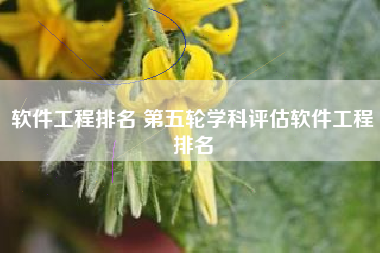 软件工程排名 第五轮学科评估软件工程排名