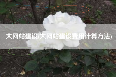 大网站建设(大网站建设费用计算方法)
