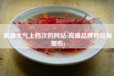 高端大气上档次的网站(高端品牌网站有哪些)