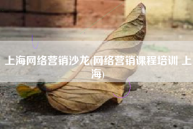 上海网络营销沙龙(网络营销课程培训 上海)