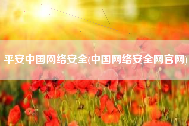 平安中国网络安全(中国网络安全网官网)