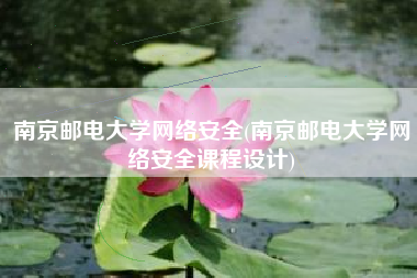 南京邮电大学网络安全(南京邮电大学网络安全课程设计)