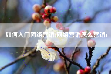 如何入门网络营销(网络营销怎么营销)