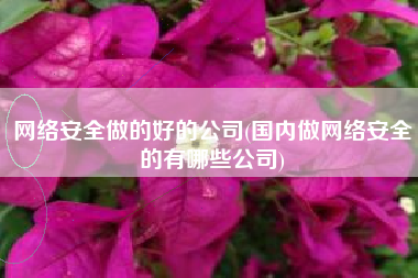 网络安全做的好的公司(国内做网络安全的有哪些公司)