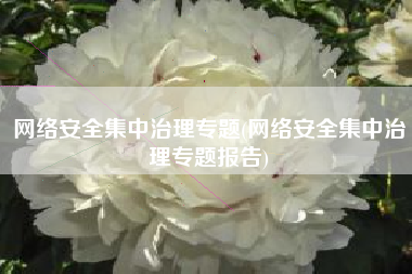 网络安全集中治理专题(网络安全集中治理专题报告)