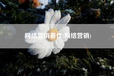 网络营销著作(网络营销)