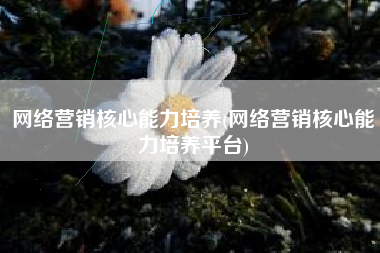 网络营销核心能力培养(网络营销核心能力培养平台)
