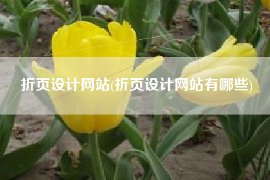 折页设计网站(折页设计网站有哪些)