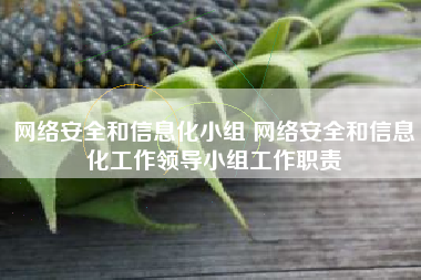 网络安全和信息化小组 网络安全和信息化工作领导小组工作职责
