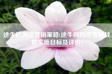 途牛网网络营销策略(途牛网网络营销战略实施目标及评价)