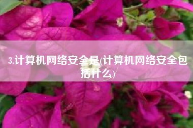 3.计算机网络安全是(计算机网络安全包括什么)