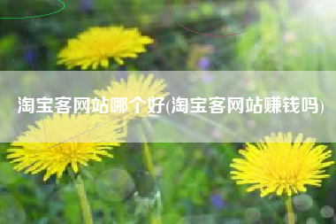 淘宝客网站哪个好(淘宝客网站赚钱吗)