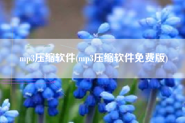 mp3压缩软件(mp3压缩软件免费版)