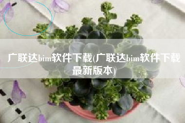 广联达bim软件下载(广联达bim软件下载最新版本)