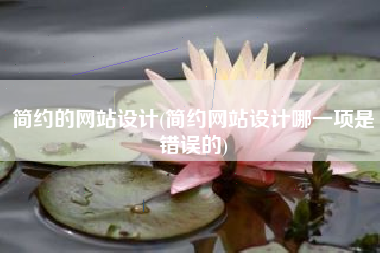 简约的网站设计(简约网站设计哪一项是错误的)