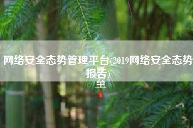 网络安全态势管理平台(2019网络安全态势报告)
