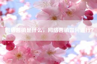 网络营销是什么，网络营销如何进行？