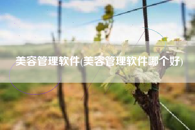 美容管理软件(美容管理软件哪个好)