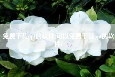 免费下载ppt的软件(可以免费下载ppt的软件)
