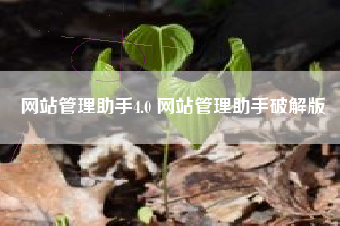 网站管理助手4.0 网站管理助手破解版