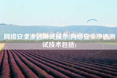 网络安全渗透测试技术(网络安全渗透测试技术包括)