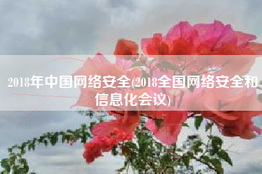 2018年中国网络安全(2018全国网络安全和信息化会议)