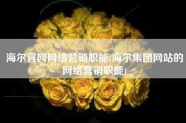 海尔官网网络营销职能(海尔集团网站的网络营销职能)