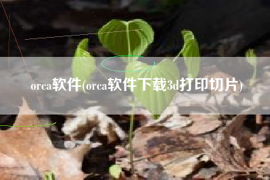 orca软件(orca软件下载3d打印切片)